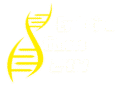 Logo Evolution Fitness 24h